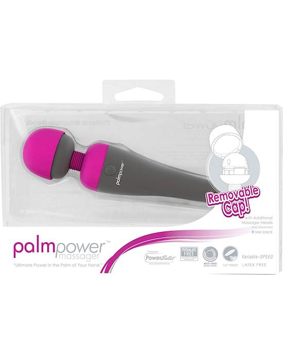 Palmpower Massager 